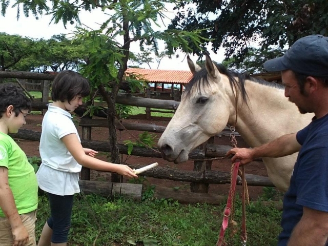 Actividades con caballos